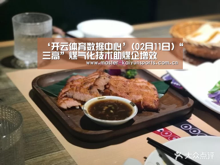 ‘开云体育数据中心’(02月11日)“三高”煤气化技术助煤企增效(图2) 开云体育数据中心