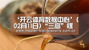 ‘开云体育数据中心’(02月11日)“三高”煤气化技术助煤企增效(图1) 开云入口