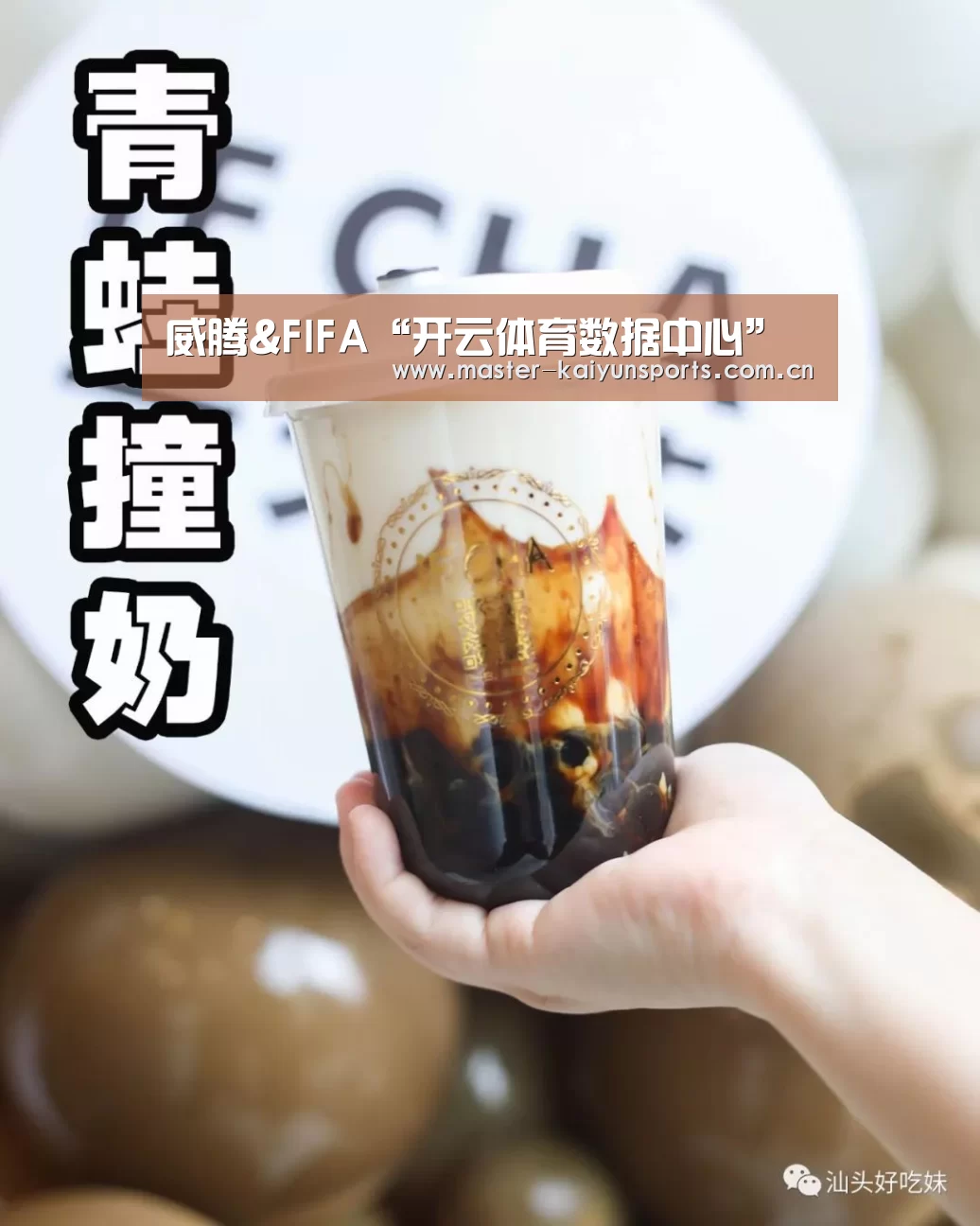 威腾&FIFA“开云体育数据中心”(图4) 开云体育数据中心