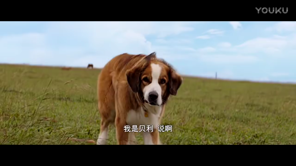 开云体育高清直播_县民政局组织开展走访慰问烈士遗属活动(图1) 开云入口