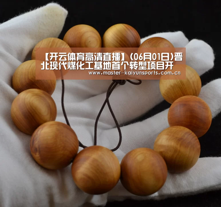 【开云体育高清直播】(06月01日)晋北现代煤化工基地首个转型项目开工建设(图2) 开云体育数据中心