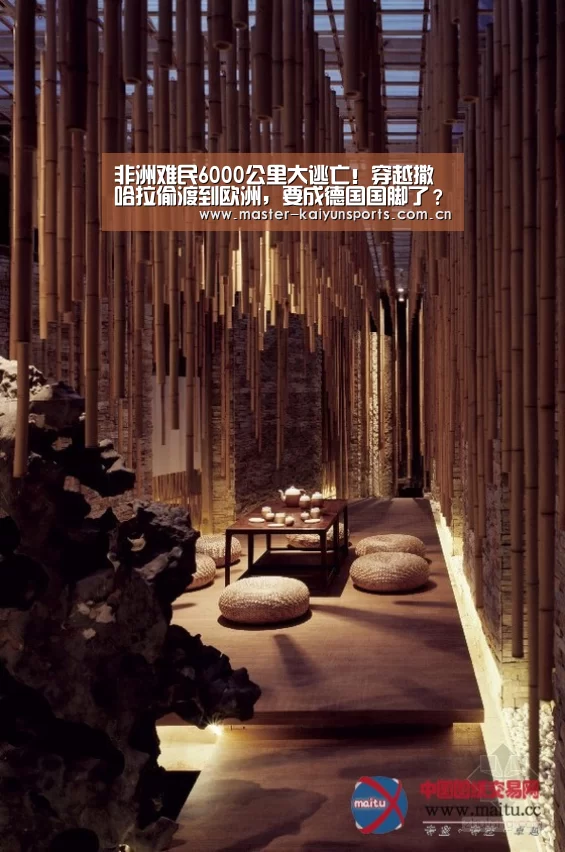 非洲难民6000公里大逃亡!穿越撒哈拉偷渡到欧洲,要成德国国脚了?-KAIYUN官网(图3) 开云入口