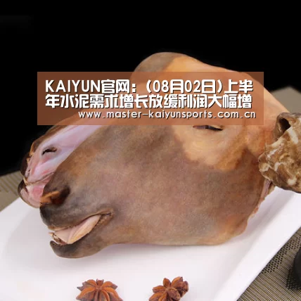 KAIYUN官网:(08月02日)上半年水泥需求增长放缓利润大幅增长(图2) 开云体育数据中心