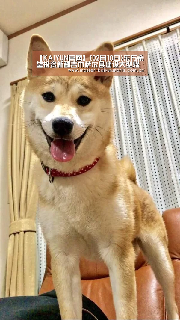 开云入口