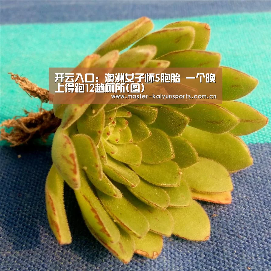 开云体育数据中心