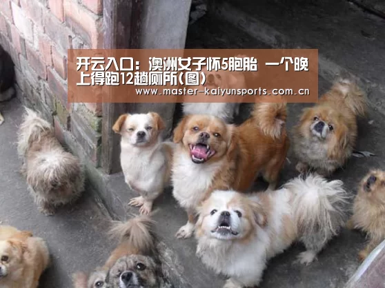 开云体育高清直播