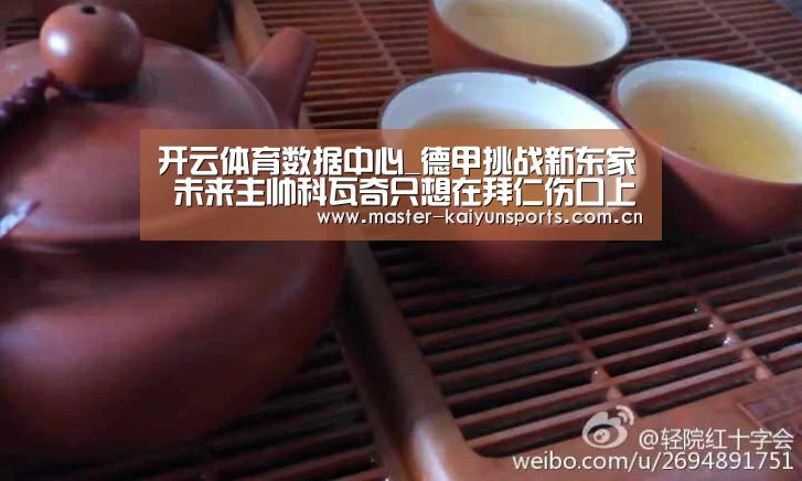 开云体育数据中心_德甲挑战新东家 未来主帅科瓦奇只想在拜仁伤口上撒盐(图1) KAIYUN官网