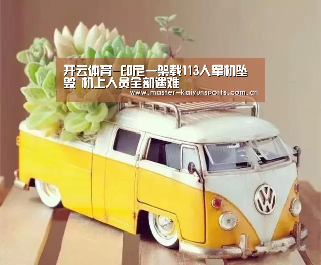 开云体育-印尼一架载113人军机坠毁 机上人员全部遇难(图2) 开云体育高清直播