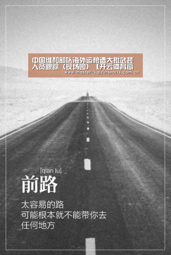 中国维和部队海外运粮遭大批武装人员跟踪(现场图)【开云体育高清直播】(图2) 开云体育数据中心