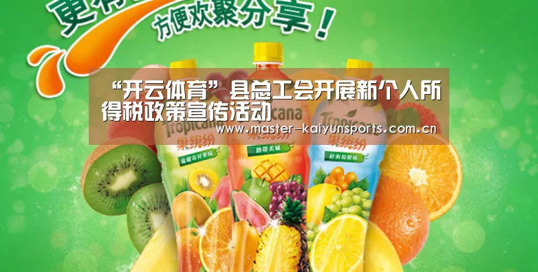 “开云体育”县总工会开展新个人所得税政策宣传活动(图2) 开云入口