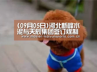 (09月05日)河北新峰水泥与天辰集团签订煤制气项目-KAIYUN官网(图2) KAIYUN官网