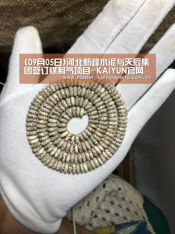 (09月05日)河北新峰水泥与天辰集团签订煤制气项目-KAIYUN官网(图3) 开云入口