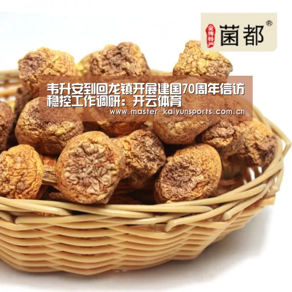 韦升安到回龙镇开展建国70周年信访稳控工作调研:开云体育(图2) 开云入口