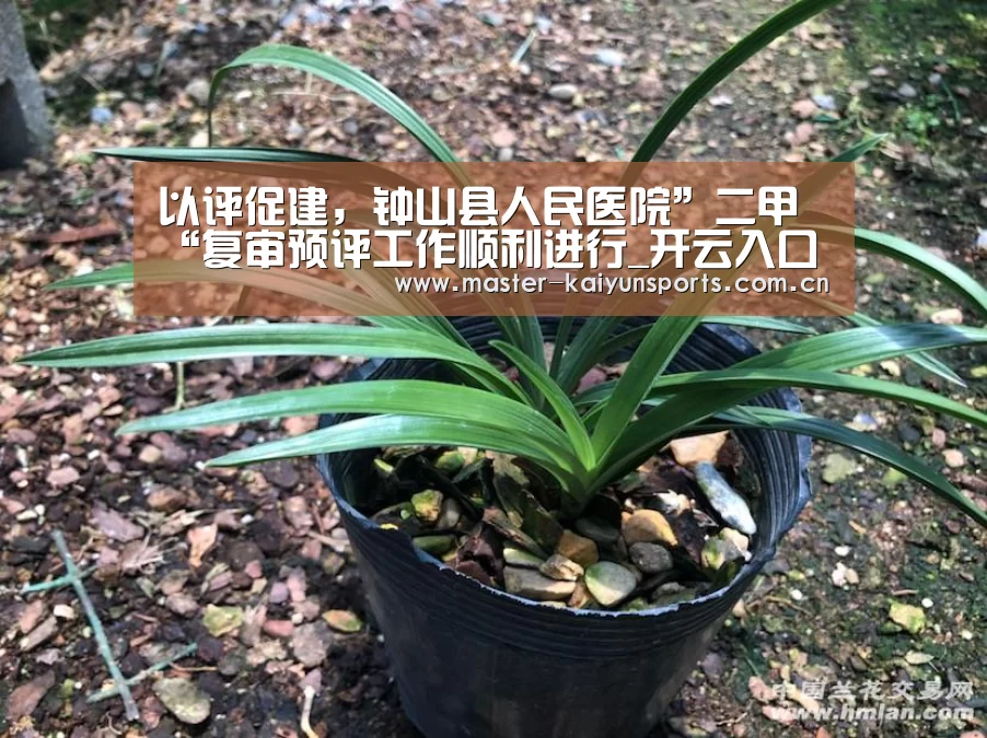 以评促建,钟山县人民医院”二甲“复审预评工作顺利进行_开云入口(图1) 开云体育